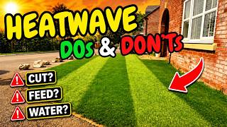 Heatwave Lawn Care in the UK: What To Do (And What NOT To Do)