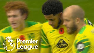 Andrew Omobamidele heads Norwich City level with Leeds United | Premier League | NBC Sports