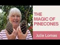 Spirituality of Pine Cones