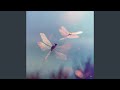 Flying Apart