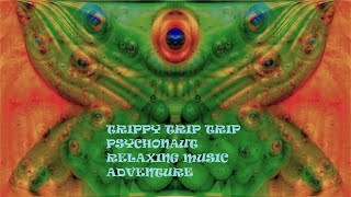 TRIPPY TRIP TRIP PSYCHONAUT RELAXING MUSIC ADVENTURE