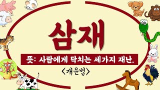 삼재 이것만 알면 아무 걱정이 없다!?