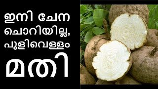 ചേന മുറിക്കുമ്പോള്‍ കൈ ചൊറിയേണ്ട||Health Tips Malayalam