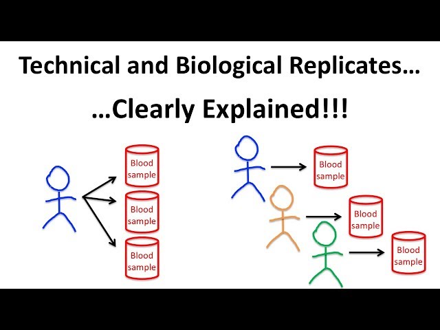 Replicate Meaning Dna Replication S Phase Checkpoint Control Learn