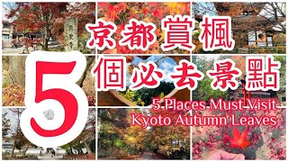 【京都 ⑤ 个秋天赏枫必去的景点】5 Places Must Visit Kyoto Autumn Leaves | 大夫小妻 — Ausroro \u0026 Eevee