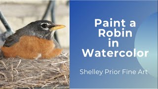 Paint a Robin in Watercolor