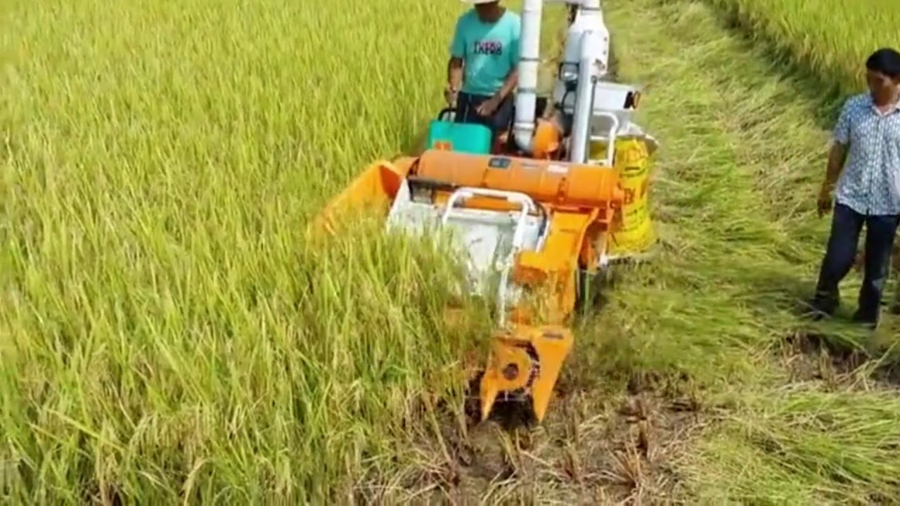 Mini Rice Harvester
