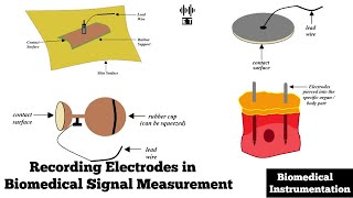 Recording Electrodes in Biomedical Measurement | Basic Concepts | Biomedical Instrumentation