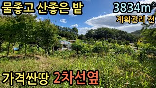 (매물번호12451) 보은부동산 3834㎡(1160) 보은토지 보은땅매매매물 시골토지 귀농귀촌 전원주택지 촌땅 청주토지 청주땅 대전땅 옥천땅 산속땅 하천 물가싼땅 1억2천만원