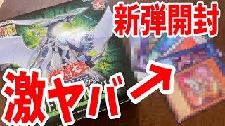 【遊戯王】25周年の超絶豪華カード、、、結束と絆の魔術師を狙ってボックス開封！！【ネクサス】