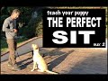 Teach Your Puppy SIT on Command - Perfect SIT - Robert Cabral Dog Training Video