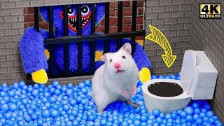 Hamsterious EscapeThe Poppy Playtime Maze - Hamster Vs Huggy Wuggy