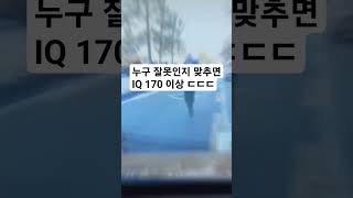 누구 잘못인지 맞추면 IQ 170 이상 ㄷㄷㄷ