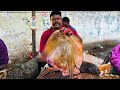 KASIMEDU SPEED SELVAM STINGRAY FISH CUTTING VIDEO CUTTING FOCUS