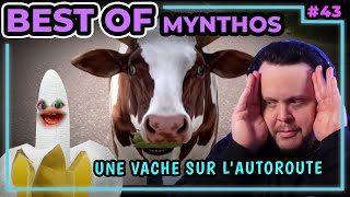 UNE VACHE SUR L'AUTOROUTE. BestOf Mynthos #43