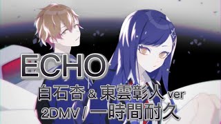 【プロセカ】ECHO / 白石杏 \u0026 東雲彰人 /  2DMV / アナザーボーカル / 1時間耐久