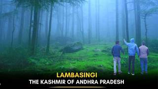 Lammasingi: The Chilling Beauty of Andhra’s Kashmir You Must See #lambasingi  #tourism