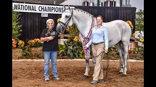 IALHA Nationals - Dressage Sport Horse - Amateur