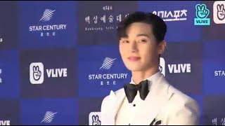 180503 54th Baeksang Arts Awards {Park Seo Joon}