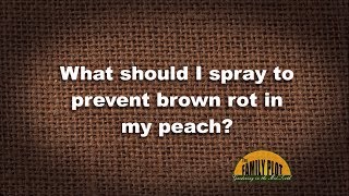 Q\u0026A – What should I spray to prevent brown rot on my peaches?