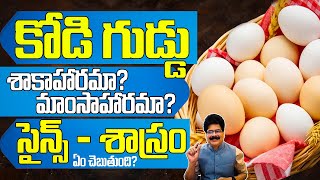 కోడిగుడ్డు శాకాహారమా, మాంసాహారమా? Egg Mystery- Vegetarian or Non-Vegetarian