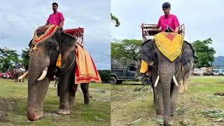 มาเตรียมความพร้อมเข้าแห่งานศาลหลักเมืองจังหวัดพังงากันครับ วิถีชีวิตช้างใต้ EP 1,051