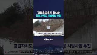 [G1뉴스] 강원자치도, 미활용 군용지 활용 시범사업 추진