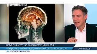 Comment fonctionne notre cerveau  ?  Hervé Chneiweiss, invité de TV5Monde