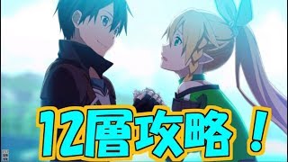 【SAOIF】12層序道周回！＊前半ダークデセプション→後半ＳＡＯＩＦ【SAO IF】