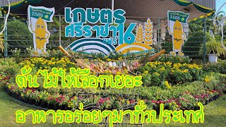 งานเกษตรแฟร์ ศรีราชา