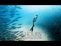 8 Hours NON-STOP Under the Ocean (2019) : Deep Relaxing and Calming Clips & Music!!