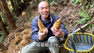 又到挖冬笋的季节，小梁夫妻前去挖，收获满满。