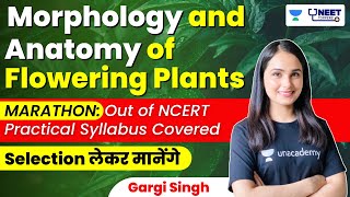 Morphology and Anatomy of Plants with Tricks | Out of NCERT Practical Syllabus Covered | Gargi Singh