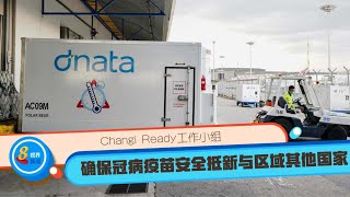 8视界新闻｜【冠状病毒19】Changi Ready工作小组 确保冠病疫苗安全抵新与区域其他国家