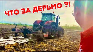 НАВОЗНАЯ ЖИЖА, АММИАЧНАЯ ВОДА, КУРИНЫЙ ПОМЁТ 🥴 АЛЬТЕРНАТИВЫ ДОРОГУЩЕЙ «МИНЕРАЛКЕ»