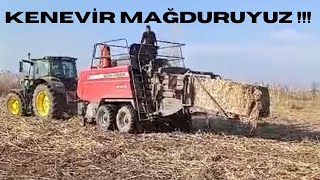 TARLALAR SÜRÜLMÜYOR !!! ENDÜSTRİYEL KENEVİR ÜRETİMİ !! M.F 5S.145