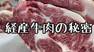 経産牛肉の秘密と魅力について語りました