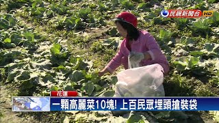 一顆高麗菜10塊 上百民眾搶便宜－民視新聞