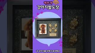 아기손발조형물만 잘 하는 줄 알았는데 강아지 고양이 🐶🐱 반려동물 발도장도 너~~~무 잘 하죠😍 아기손발조형물처럼 디테일 확실한 강아지발도장🐾 #babyshorts #baby