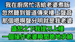 我在廚房忙活給老婆煮飯，忽然聽到管道傳來樓上聲音，那個嗯啊聲分明就是我老婆，盛怒之下我提刀上樓，一個操作老婆瞬間跪地求饒！【一窗昏曉】#落日溫情#情感故事#花開富貴#深夜淺讀#家庭矛盾#爽文