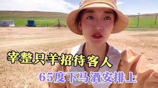 【牧牧】018 羊皮在牧区不值钱？内蒙姑娘宰整只羊招待客人，65度下马酒不含糊