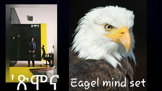 'ጽሞና'#የንስር አሞራ ታሪክ ያስደንቃል#Eagelmindset #Inspiration_Episode2#4all human#tiktok_ethiopia#abworking