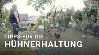 Die besten Tipps für die Hühnerhaltung im Garten und in der Stadt | Hobbyfarming