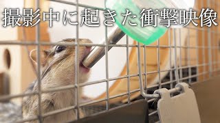 給水ボトルのASMRを撮りたかっただけなのに…