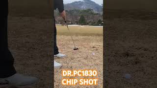 DR.PC1830 CHIP SHOT