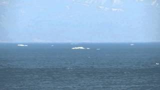 根室海峡に浮かぶ流氷