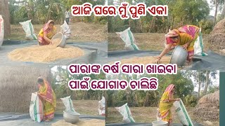 ଆଜି ଘରେ ମୁଁ ପୁଣି ଏକା।। ପାରାଙ୍କ ବର୍ଷ ସାରା ଖାଇବା ପାଇଁ ଯୋଗାଡ ଚାଲିଛି। @odiabloggersubhasiniguguli279