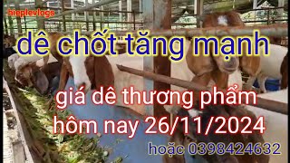 giá dê thương phẩm hôm nay 26/11/2024 tại Tân Phú