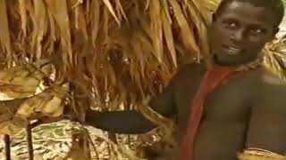 Visiting The most isolated Jarawa Tribe