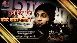 নবীজি কি হাজির নাজির | হাবিবুল্লাহ মাহমুদ কাসেমী | Hajir Najir | Habibullah Mahmud Qasemi | New Waz